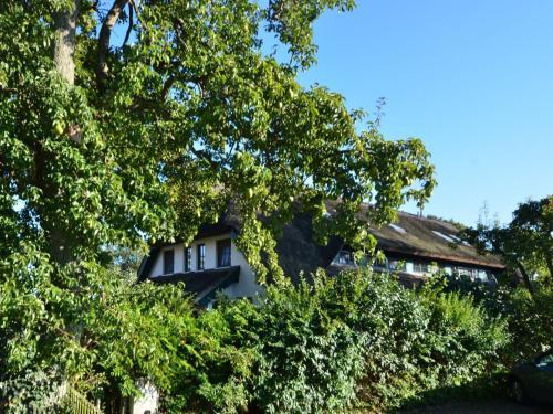 Boddenstrasse C