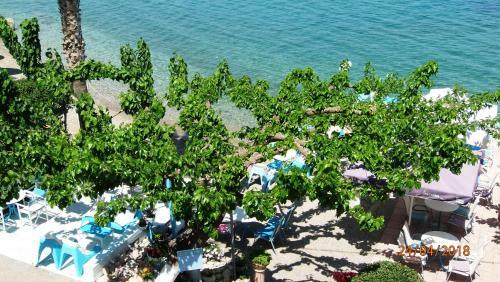 Hotel Plaz