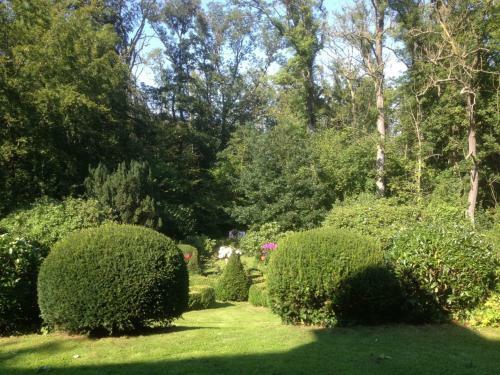 Apartamento Schlei Ferienwohnung Country Garden (ref. 176429)