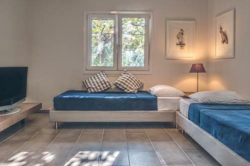 Apartamento Orange Grove Suites