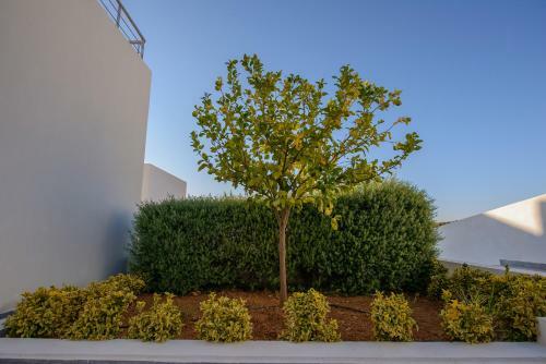Apartamento Lenikos Resort