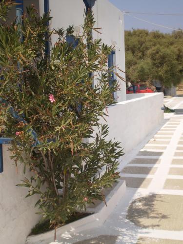 Hostal Andromeda