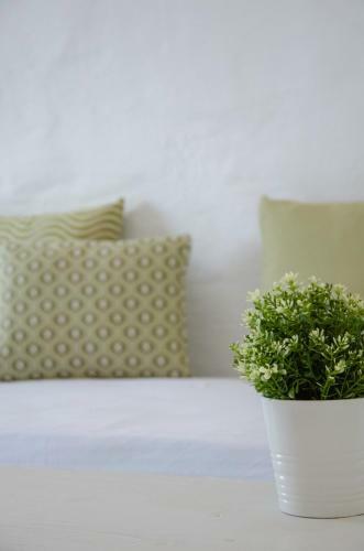 Apartamento Olga