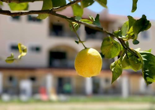 Apartamento Catamaran Corfu Hotel