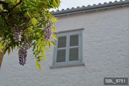 Hostal Areti