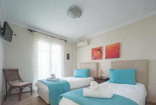 Villa Vasiliki Lassi Kefalonia