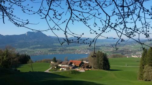 Agroturismo Gesundheitshof Daxinger Bio
