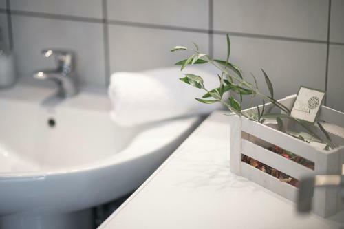 Olive Tree Apartments