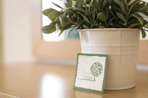 Olive Tree Apartments