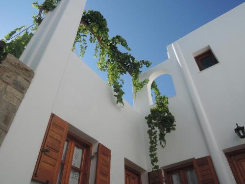 Apartamento Mitsi Studios