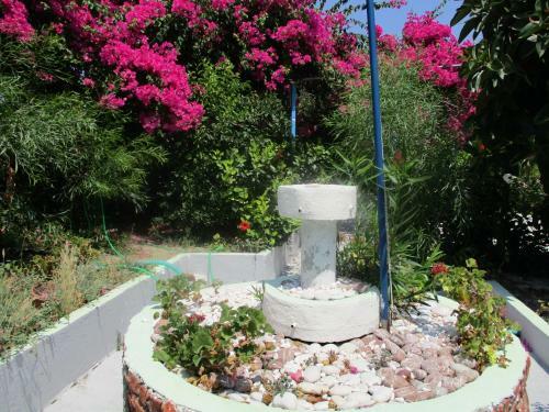 Tassos Apartments