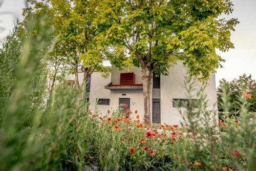 Pleiades Boutique Villas