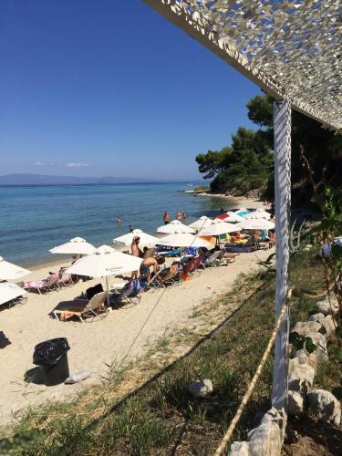 Pleiades Boutique Villas