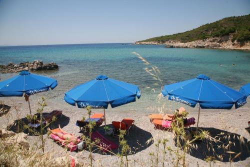 Hotel Princessa Riviera Resort
