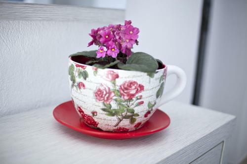 Apartamento Sunelen Studios