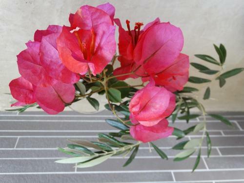 Hostal Anassa Suites