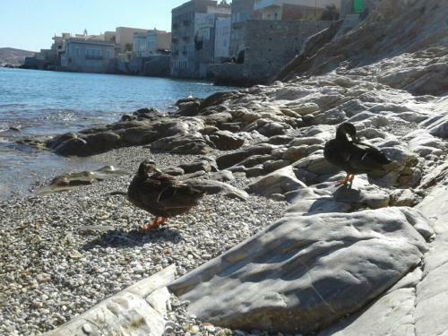 Villa Thalassographia Syros