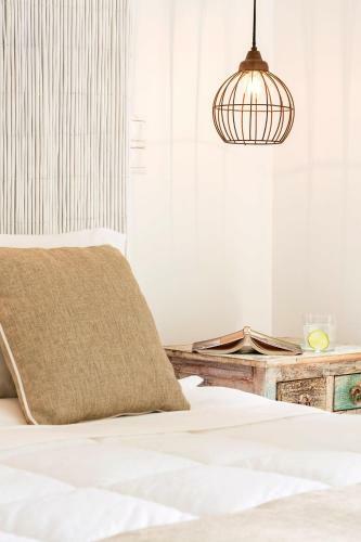 Paradise Design Apartments