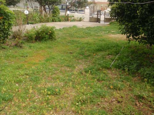 Apartamento Antouan Matina
