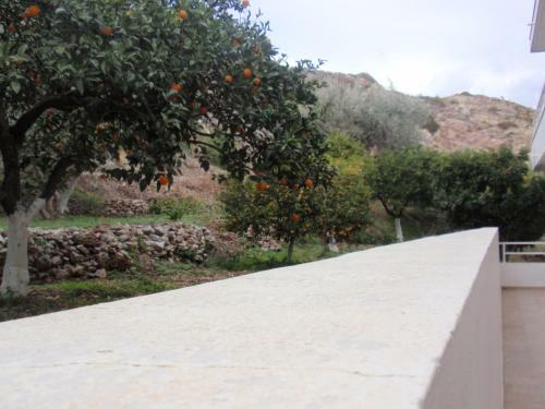 Apartamento Antouan Matina