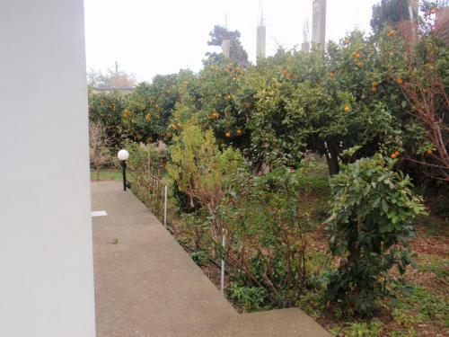 Apartamento Antouan Matina