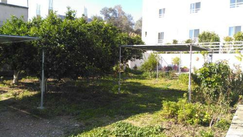 Apartamento Antouan Matina