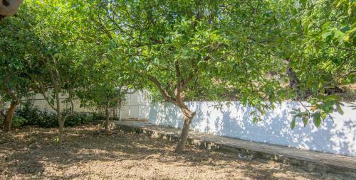 Apartamento Spiti Kritikos