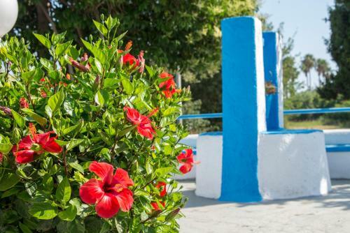 Yiannis Yard Studios & Apartments