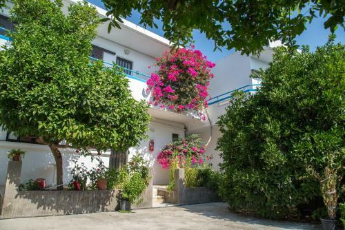 Yiannis Yard Studios & Apartments