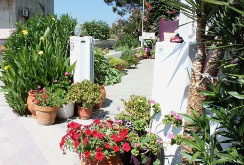 Apartamento Aumkara