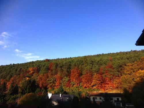 Hostal Pension Waldblick