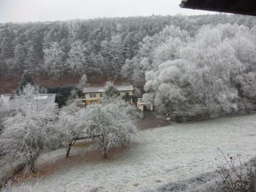 Hostal Pension Waldblick