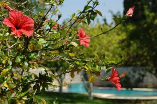 Hotel Villa Martha