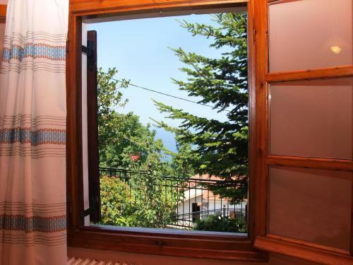 Hostal Olga Studios