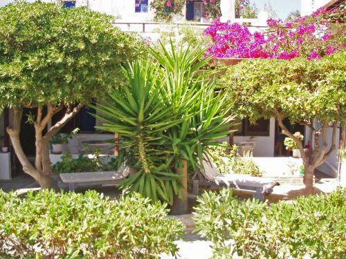 Apartamento Villa Arni