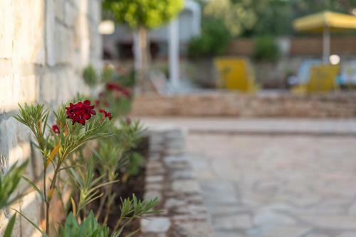 Villa Camellia