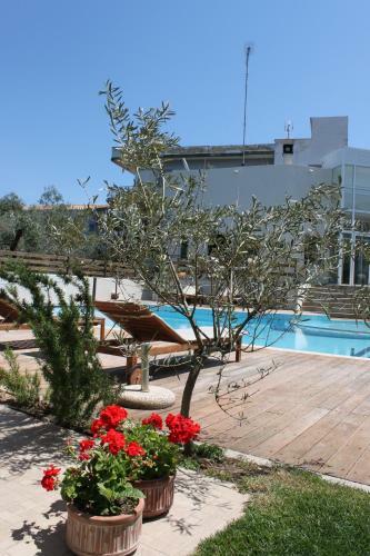 Aparthotel Alkistis Hotel