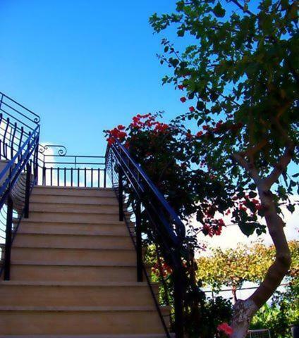 Raymondos Apartments