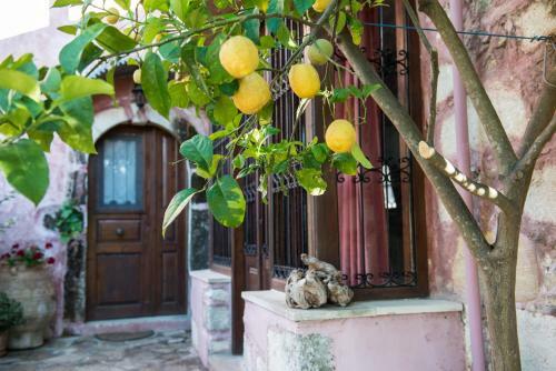 Antheia Houses