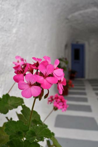 Hotel Mastiha House
