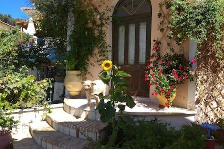 Apartamento Ilian Studios