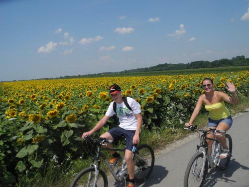Donaupark Camping Tulln