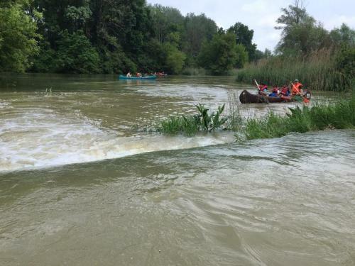 Donaupark Camping Tulln