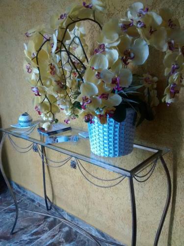 Hostal Pousada Fam�lia Flores