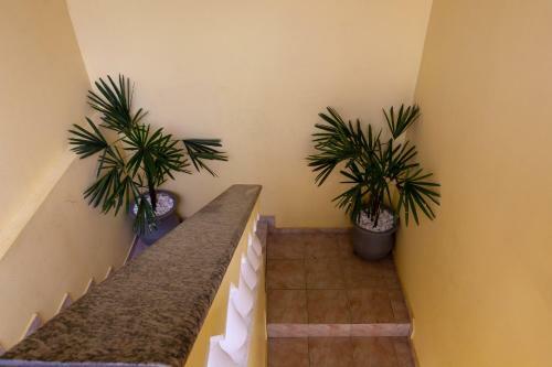 Apartamento Condom�nio Golden Goes