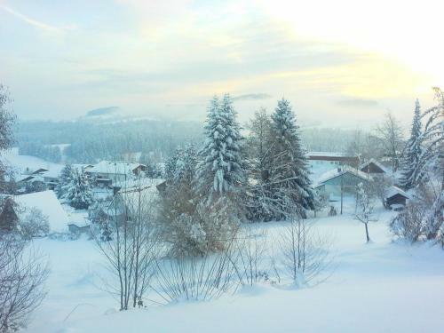 Apartamento Ferienwohnung Rath