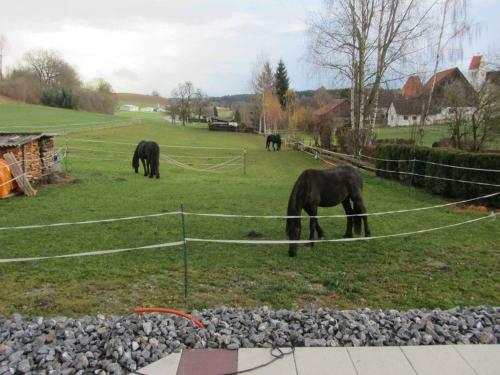 Apartamento Ferienwohnung Am Weinberg