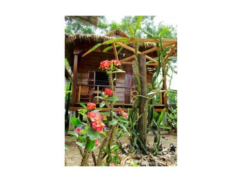 Hostal Om Home