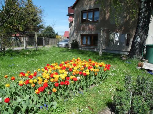 Apartamento Ferienwohnung Wawrok