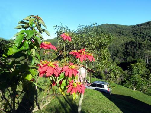Hostal Pousada Natureza Da Terra